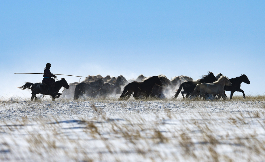 内蒙古锡林郭勒：策马踏雪迎新春
