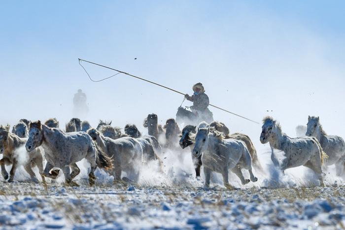 内蒙古锡林郭勒：策马踏雪迎新春