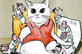 宠物消费藏隐忧：速成“宠物针灸师”针都忘了拔